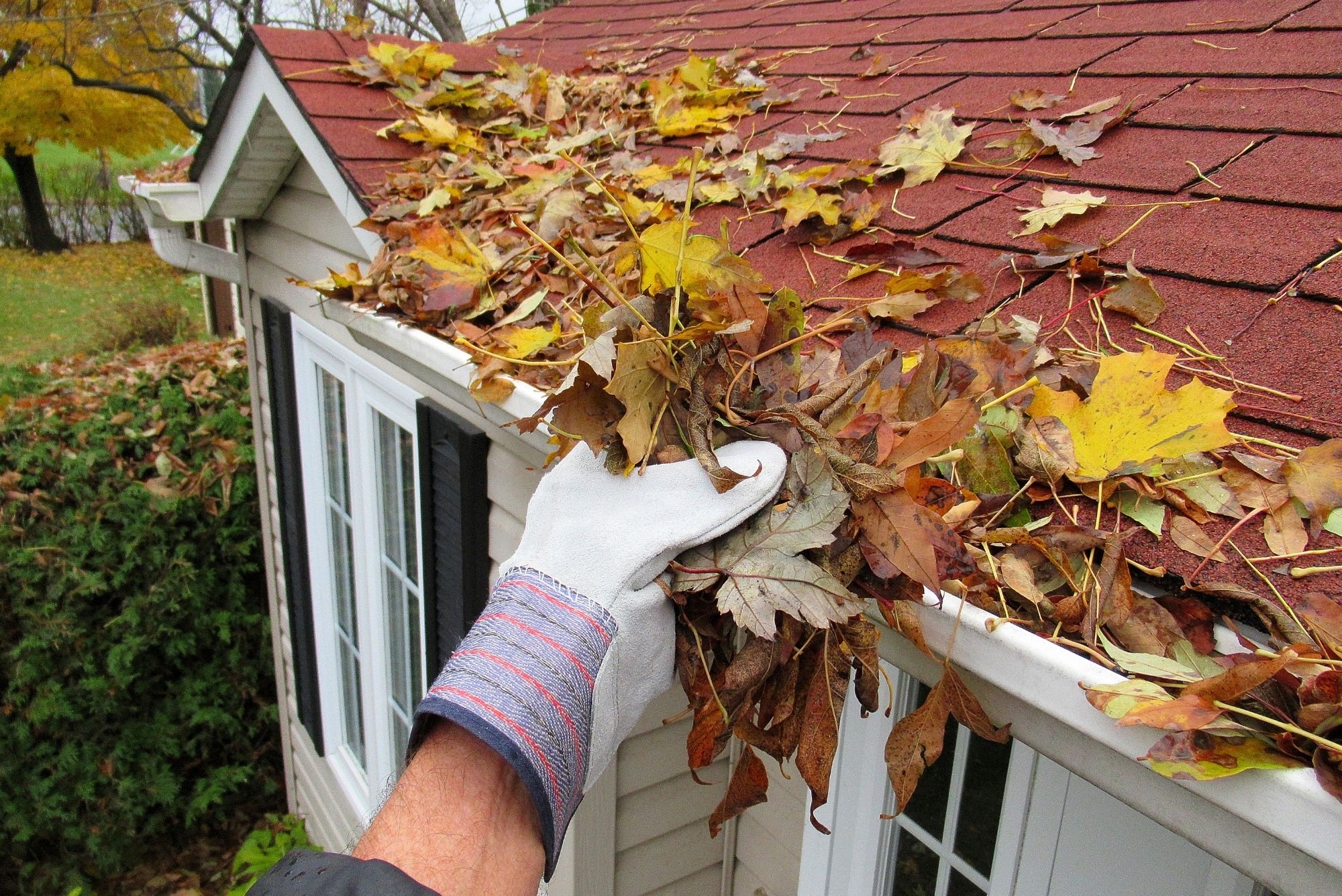 Gutter Cleaning