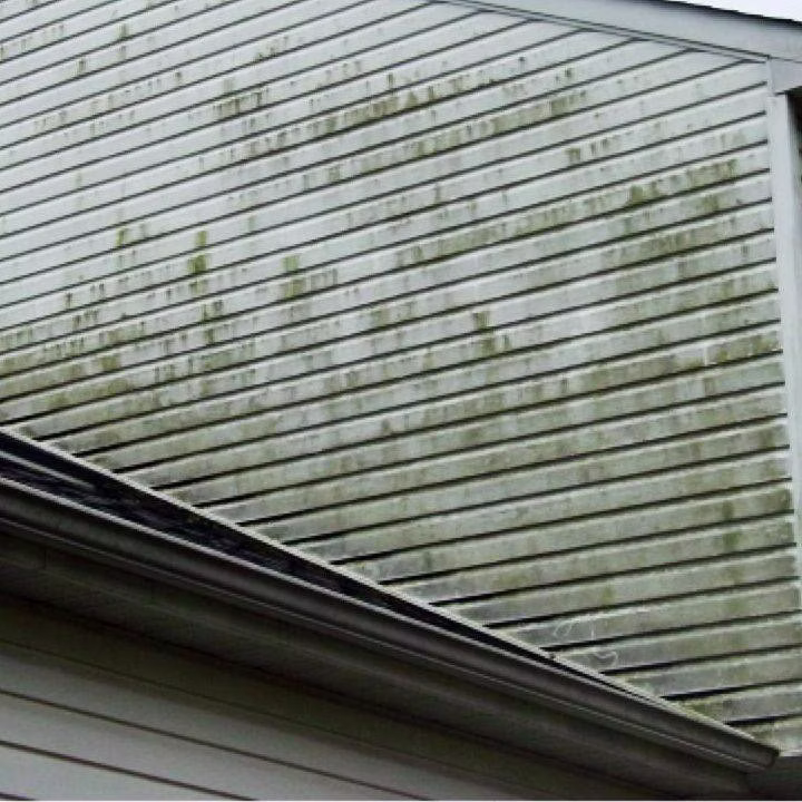Pressure Washing Fennville MI - green algae on vinyl siding before soft washing